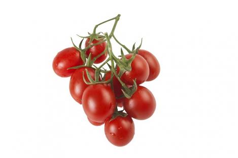 Pakis - Tomat PRINCIPE BORGHESE - seemned
