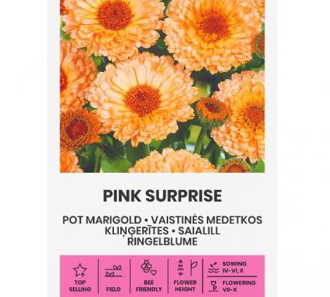 Pakis - Saialill PINK SURPRISE - seemned