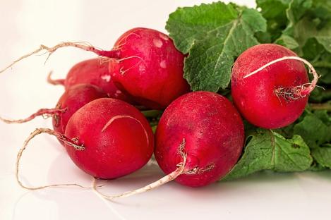 Pakis - Põldrõigas ehk redis - Cherry Belle, maheseeme, pärandsort