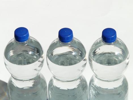 Pakis - Värske vahtramahl 0.5l