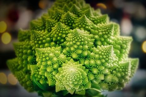 Pakis - Romaani lillkapsas ROMANESCO NATALINO - seemned