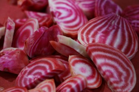 Pakis - Siiruviiruline peet - CHIOGGIA, maheseeme, pärandsort