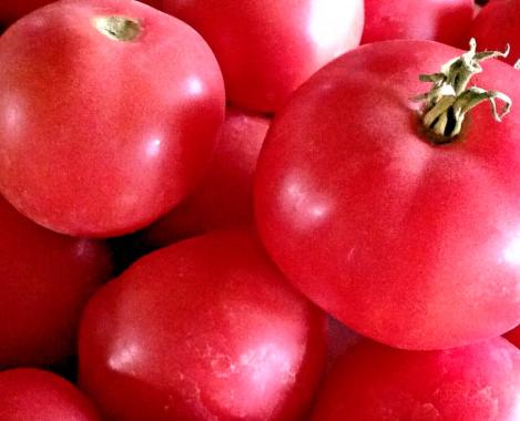 Pakis - Tomat BERNER ROSE, maheseeme, pärandsort