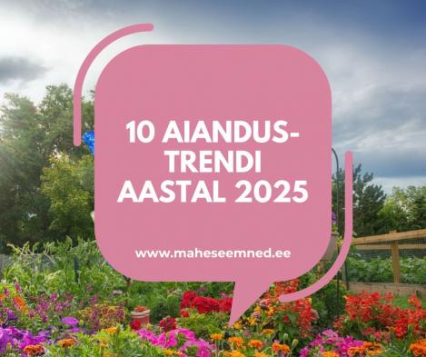 10 AIANDUSTRENDI AASTAL 2025
