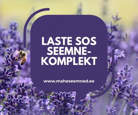 Pakis - Laste SOS seemnekomplekt, tavaseeme