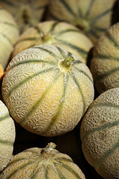 Pakis - Melon CHARENTAIS, maheseeme