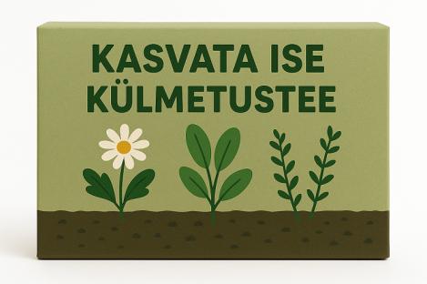 Pakis - Külmetusetee kasvatamise komplekt / Firmakink logoga, maheseeme